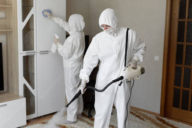 Trusted Keyser, WV Mold Remediation Experts